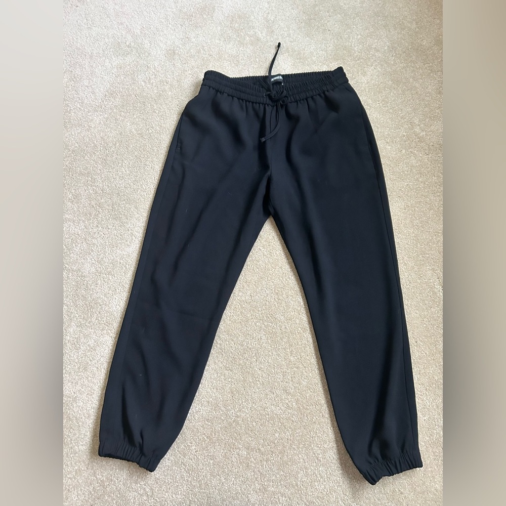 Express dressy pants